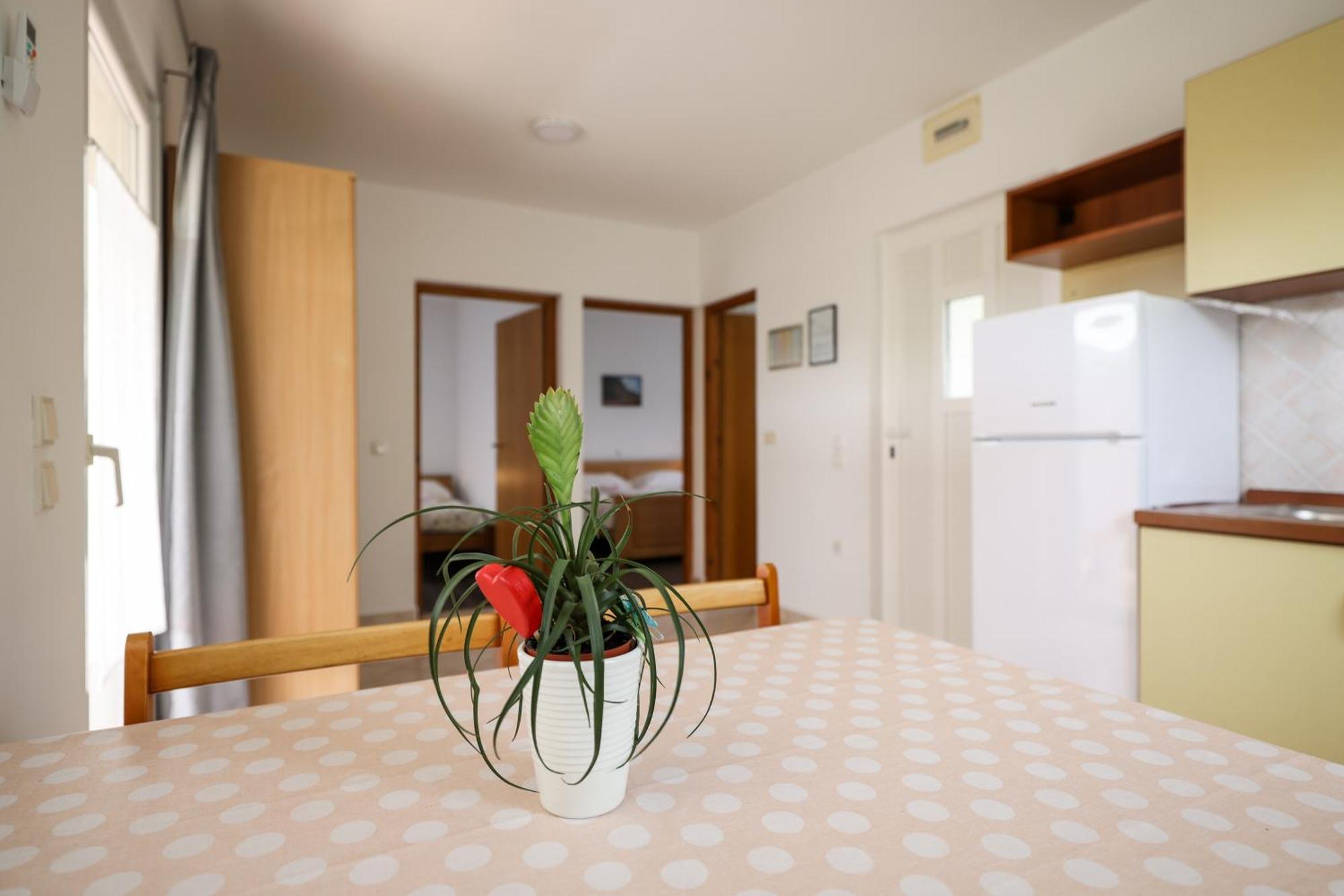 Apartments Kika Nin Exterior photo